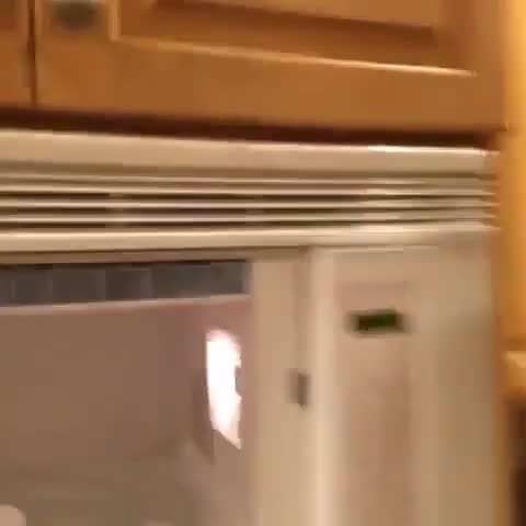Random shit on my phone 131. Literally a bunch of random . Some may be cringe, some may be morbid, some may be ear rape and stupid as hell, some may make you qu