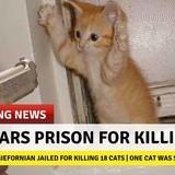 Daily News: 15 July 2K17