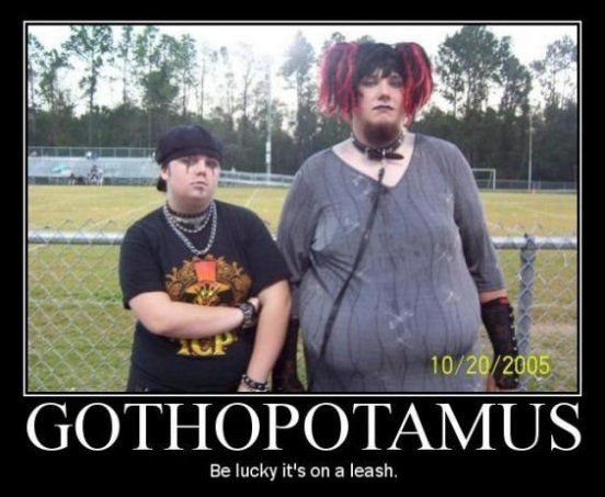 The Gothapotamus. more stuff on my profile. Be lucky it" s on a leash. It bothers me that even though the picture he posted spelled gothapotamus right, he didn't.